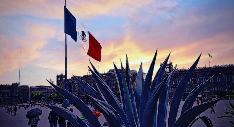 Historical and Archaeological Secrets of the CDMX Free Tour