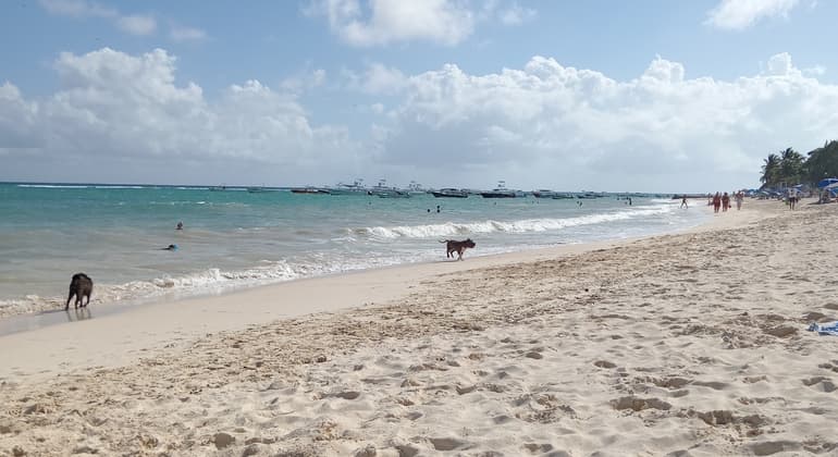 Free Tour Playa del Carmen: the Sunrise
